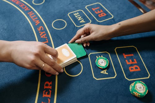 Kingbede Permainan Terlengkap Slot & Casino Terbaik